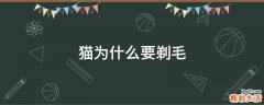 猫为什么要剃毛