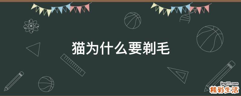 猫为什么要剃毛