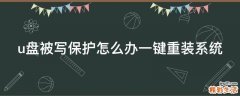 u盘被写保护怎么办一键重装系统