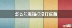 怎么知道猫打没打疫苗