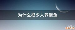 为什么很少人养鳜鱼