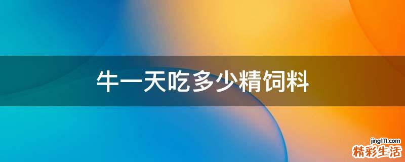 牛一天吃多少精饲料