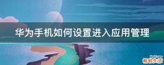 华为手机如何设置进入应用管理