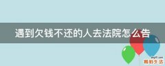 遇到欠钱不还的人去法院怎么告