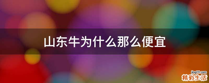 山东牛为什么那么便宜