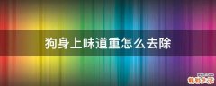 狗身上味道重怎么去除