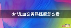dnf龙血玄黄熟练度怎么看