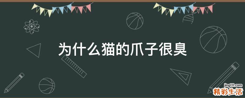 为什么猫的爪子很臭