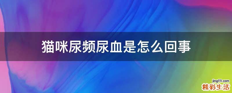 猫咪尿频尿血是怎么回事