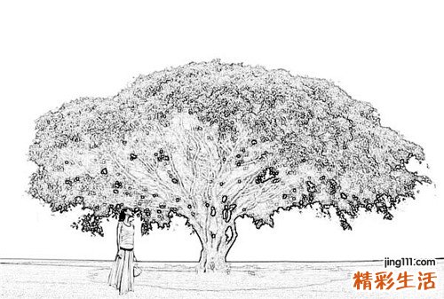 【夏季祛痘要注意什么】夏季祛痘注意事项