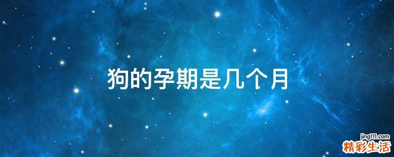狗的孕期是几个月