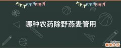 哪种农药除野燕麦管用