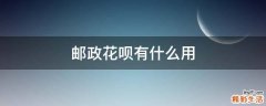 邮政花呗有什么用