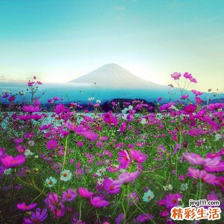 男人如何保护大脑