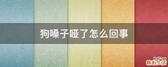 狗嗓子哑了怎么回事