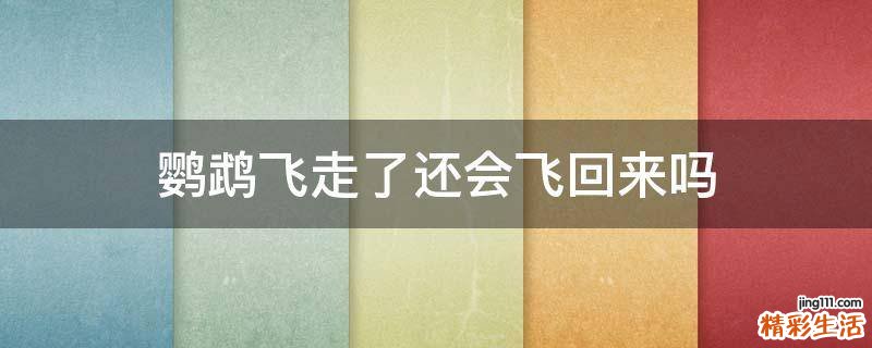 鹦鹉飞走了还会飞回来吗