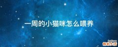 一周的小猫咪怎么喂养