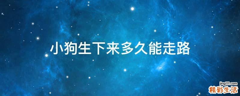 小狗生下来多久能走路