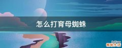 怎么打育母蜘蛛