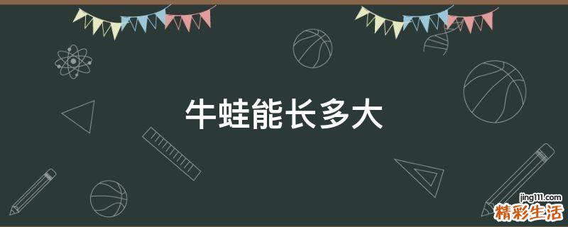 牛蛙能长多大