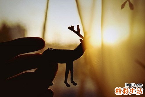 2 中医辨治神经性皮炎