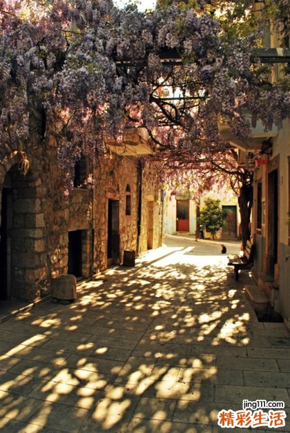 肾脏破裂是怎么回事？