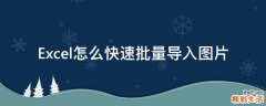 Excel怎么快速批量导入图片