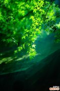 染发后如何护理头发