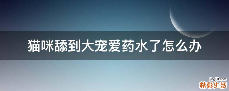 猫咪舔到大宠爱药水了怎么办