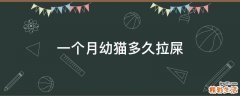 一个月幼猫多久拉屎