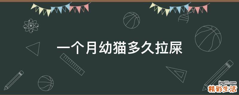一个月幼猫多久拉屎