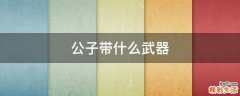 公子带什么武器