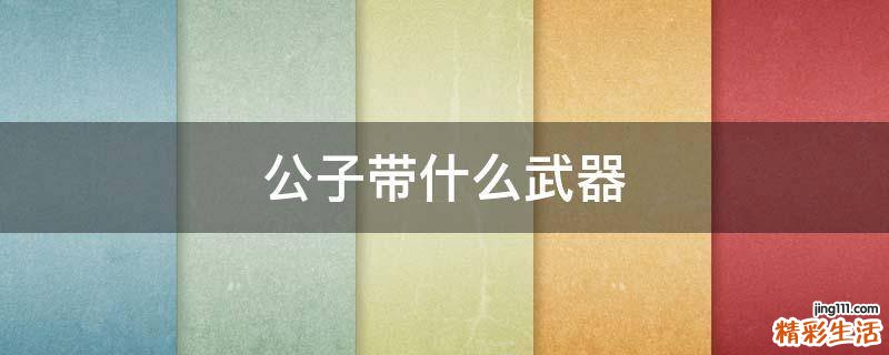 公子带什么武器