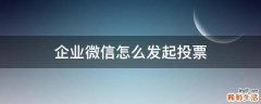 企业微信怎么发起投票
