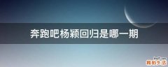 奔跑吧杨颖回归是哪一期