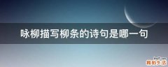 咏柳描写柳条的诗句是哪一句