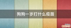 狗狗一岁打什么疫苗
