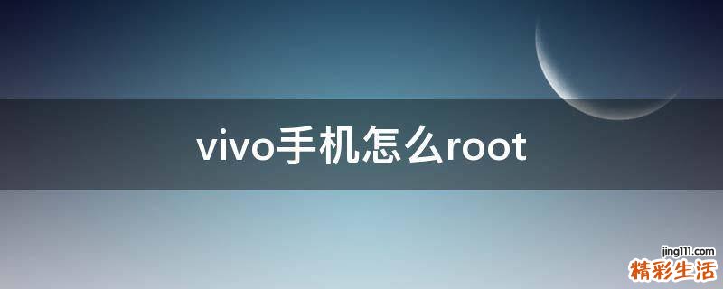 vivo手机怎么root