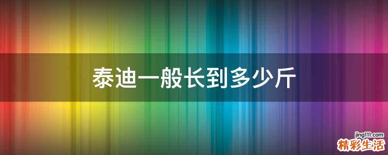 泰迪一般长到多少斤