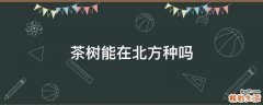 茶树能在北方种吗