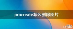 procreate怎么删除图片