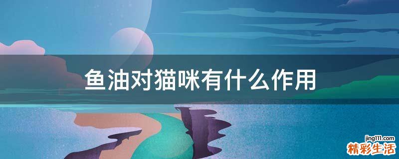 鱼油对猫咪有什么作用