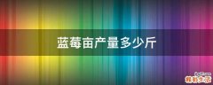 蓝莓亩产量多少斤