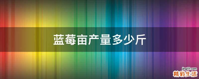 蓝莓亩产量多少斤