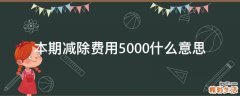 本期减除费用5000什么意思