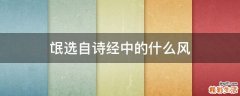 氓选自诗经中的什么风