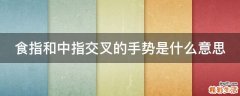 食指和中指交叉的手势是什么意思