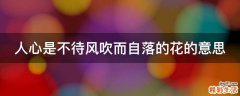 人心是不待风吹而自落的花的意思