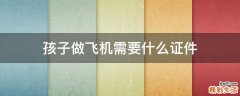 孩子做飞机需要什么证件