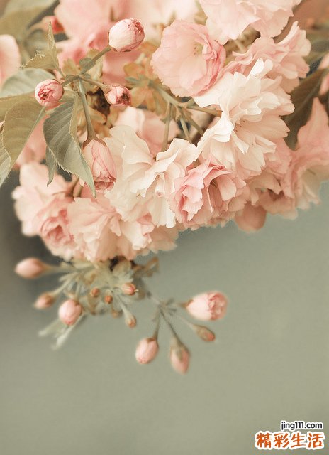 重度宫颈糜烂吃什么药